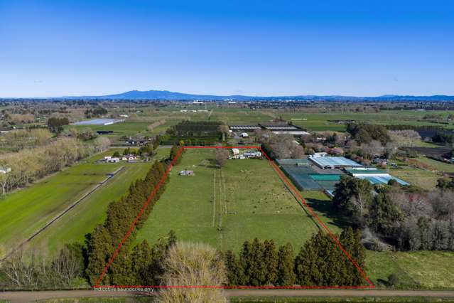 386 Marshmeadow Road Newstead_2