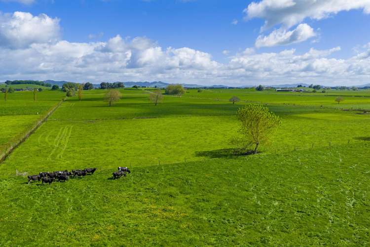 88 Davies Road Taupiri_15