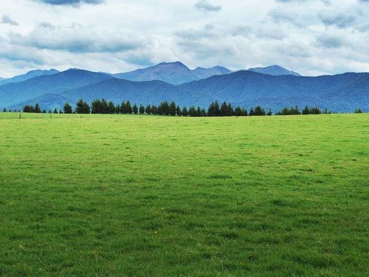 428 West Road Mauriceville_22