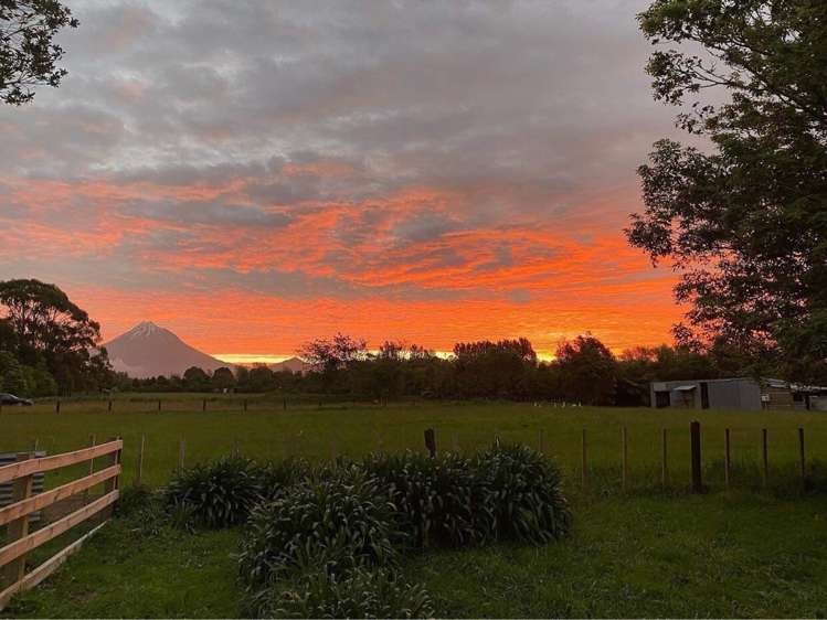 1082 Junction Road Egmont Village_33