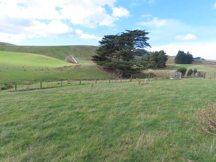 129 Speedy Road Dannevirke_7