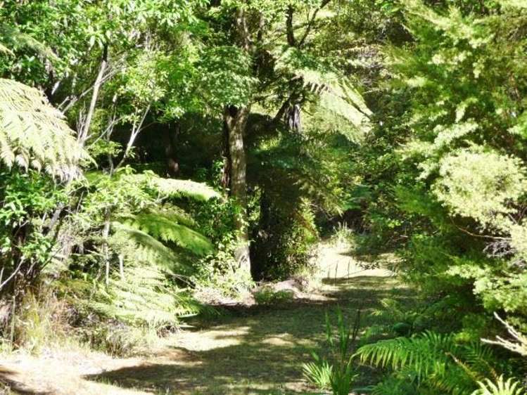 251 Dangen Road Peria_21