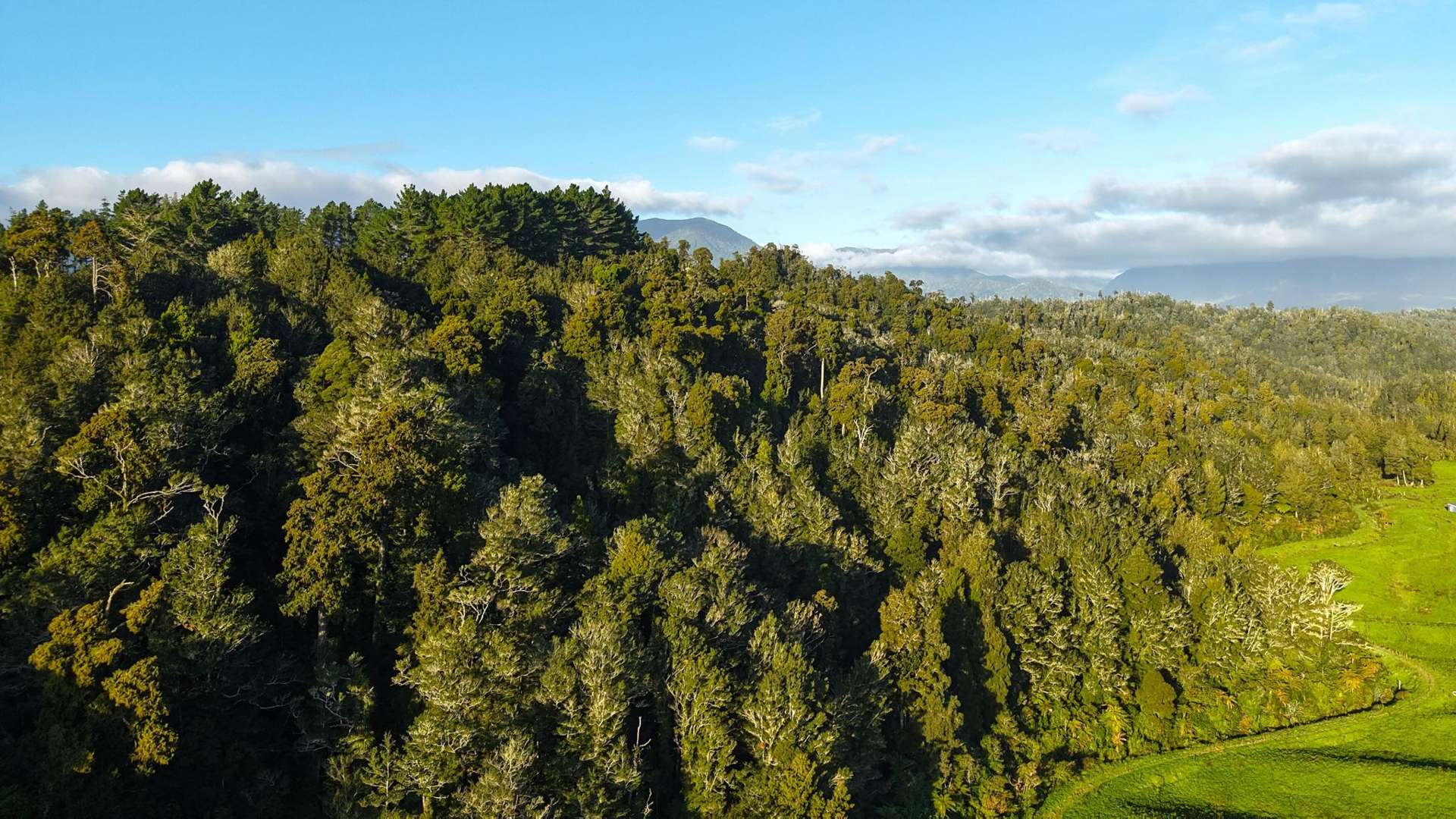 LOT 1 Granite Creek Road Karamea_0