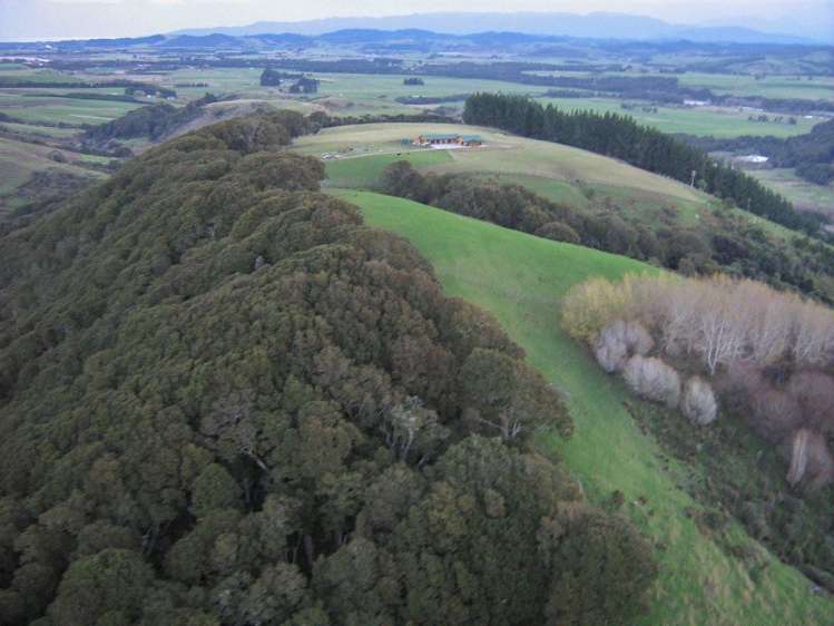 277 Gully Road Tuatapere_22