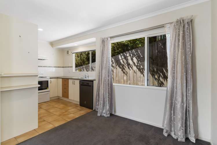 3/16 Ocean View Road Hatfields Beach_9