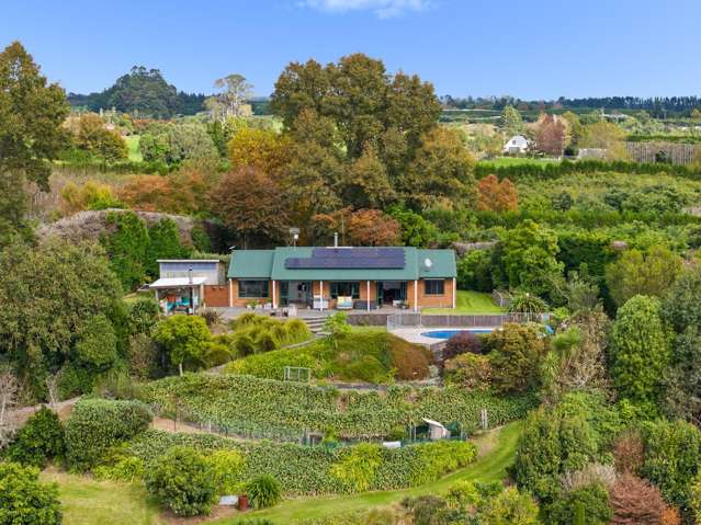 151c Hereford Road Oropi_3