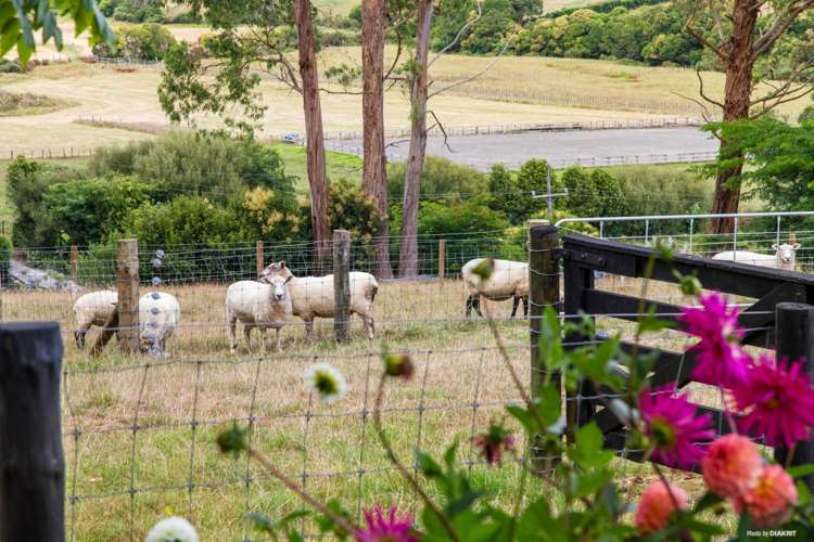 210a Logan Road Buckland_15