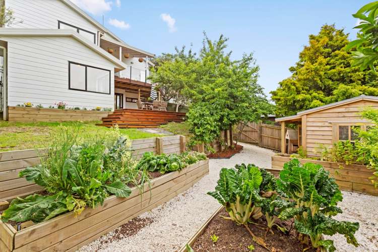 17 Long Bay Drive Torbay_16