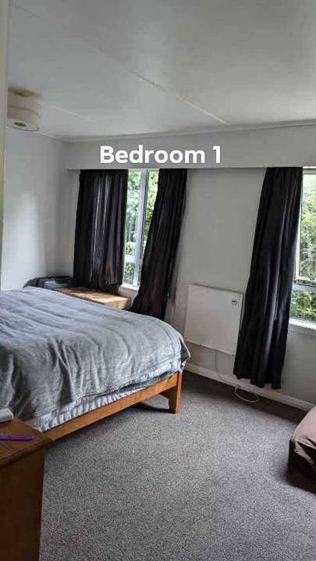 8 Stirling Street Te Aroha_2