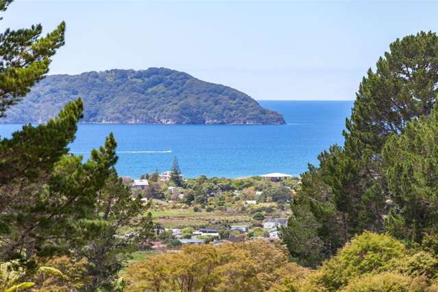 297D Main Road Tairua_3