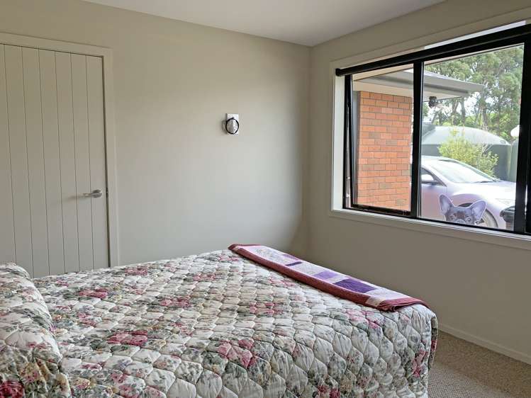 2035 Hillfoot Road Catlins Surrounds_10