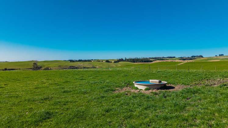 467 Waihaorunga Back Road Waimate_2