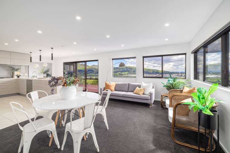 4 Hobday Lane Mount Pleasant_5