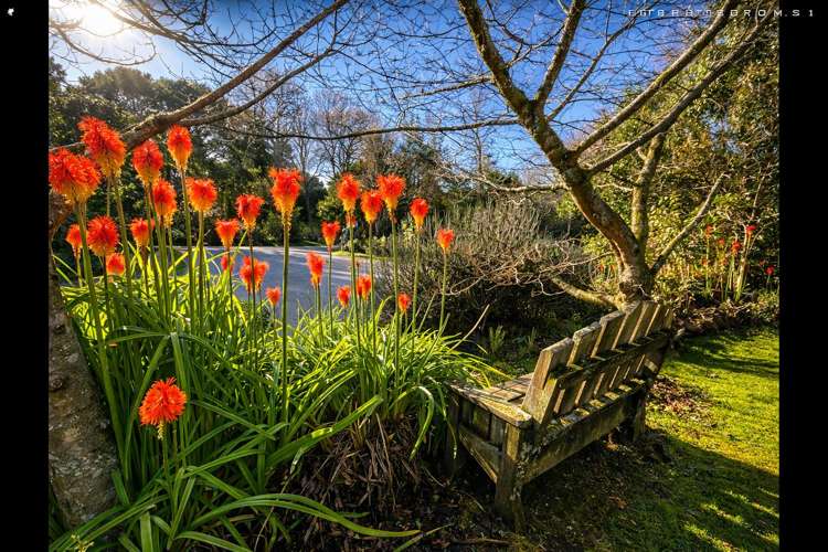 12 Ireland Road Waipawa_21