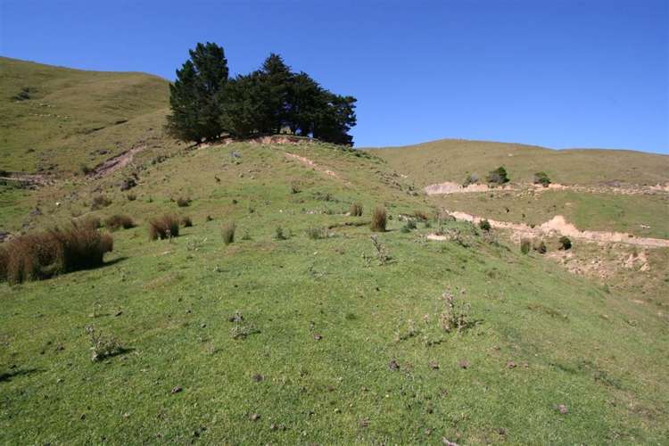 Admiralty Bay Marlborough Sounds_10