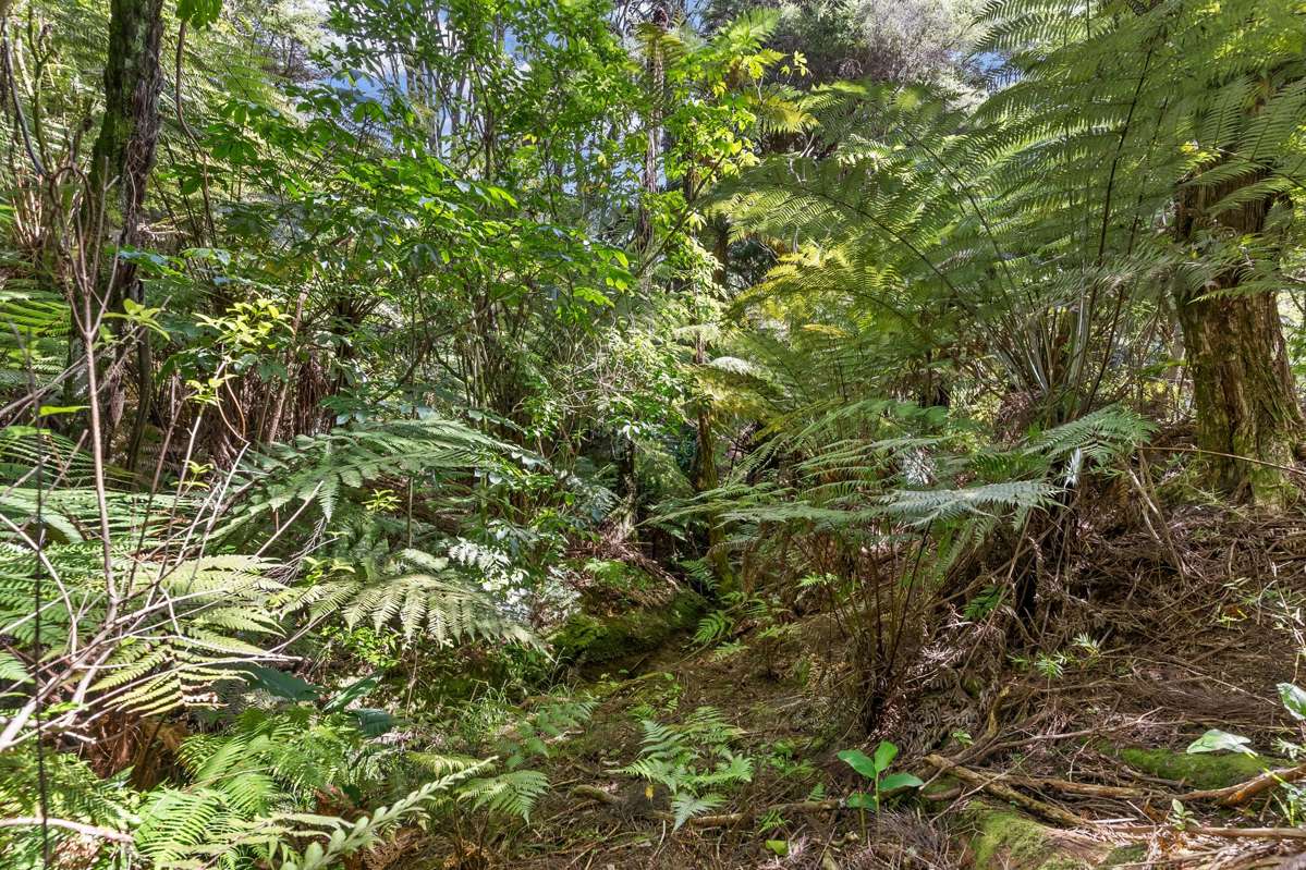 Lot Lot 2/56 Glenmore Road_2