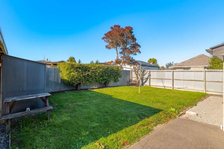 6 Belmont Street Avondale_19