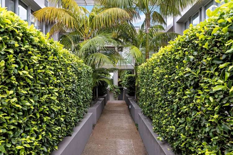 1b/104a Gladstone Road Parnell_10