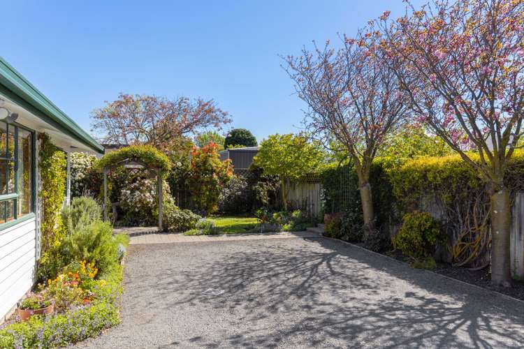 10a Brook Street Springlands_17