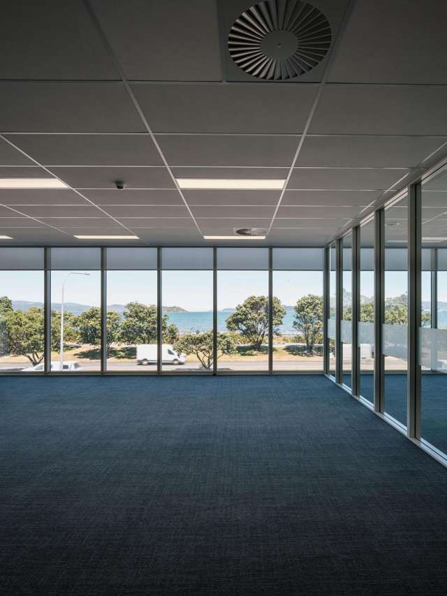 81 The Esplanade Petone_4