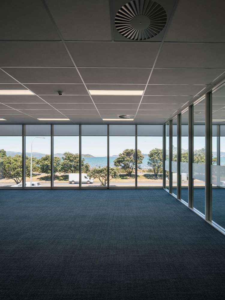 81 The Esplanade Petone_4