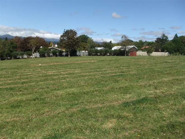 20 Claremont Rise Levin_10