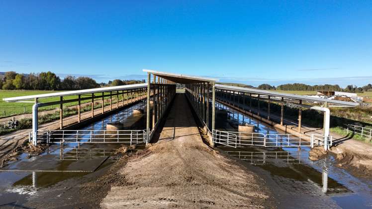 60 Moncurs Road West Otago Surrounds_13