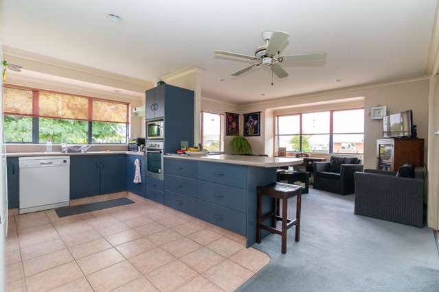 39 Thames Road Paeroa_1