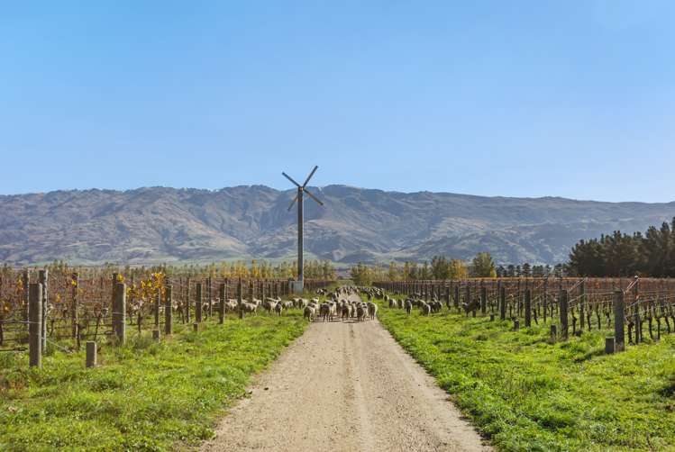 198/297 Loop Road Bendigo_4