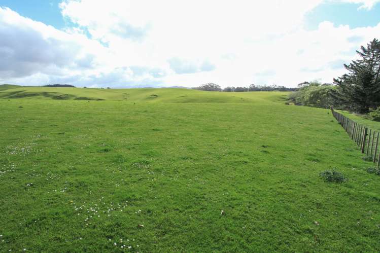 30 Van Houtte Road Raglan_5