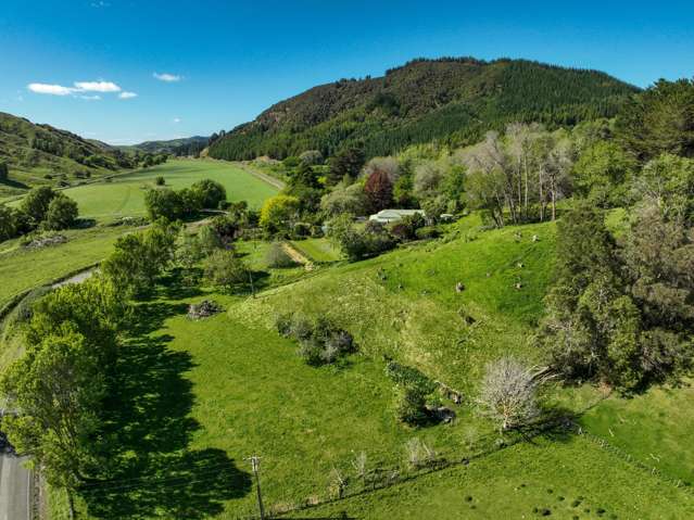 1405 Wharekopae Road Ngatapa_4