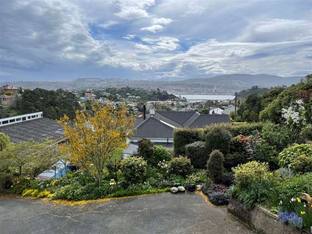 51 Spottiswoode Street Tainui_1