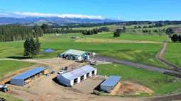 Patoka dairy farm offers excellent returns