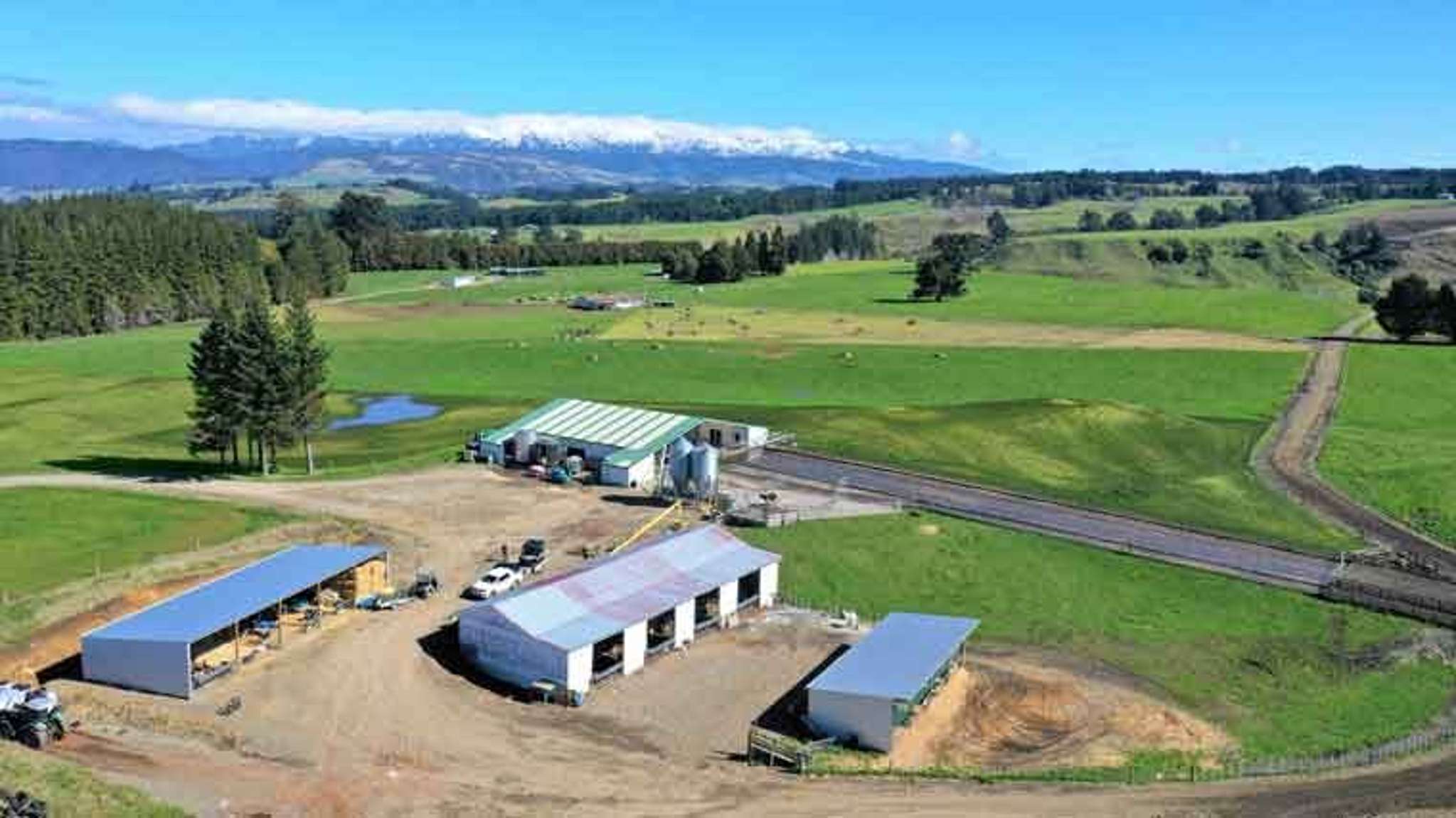 Patoka dairy farm offers excellent returns