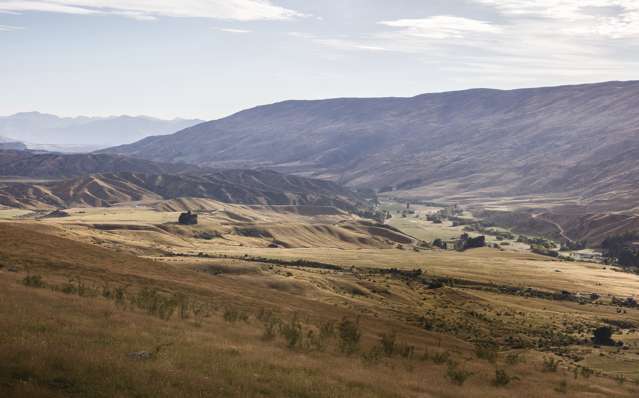 Little Meg Lane Cardrona_4