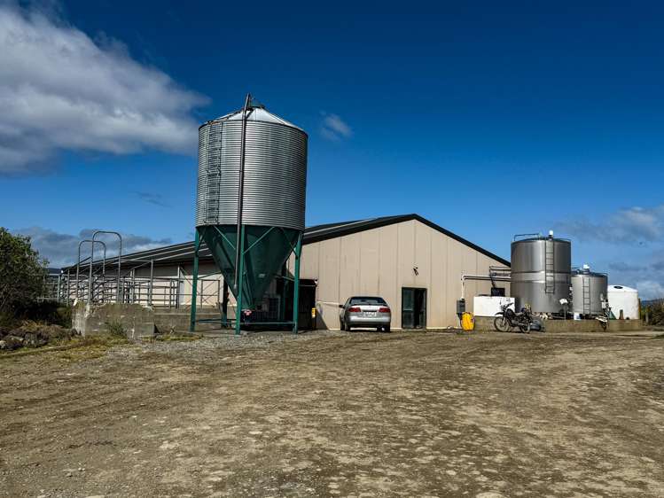 473 Clifden Gorge Road Eastern Bush_13
