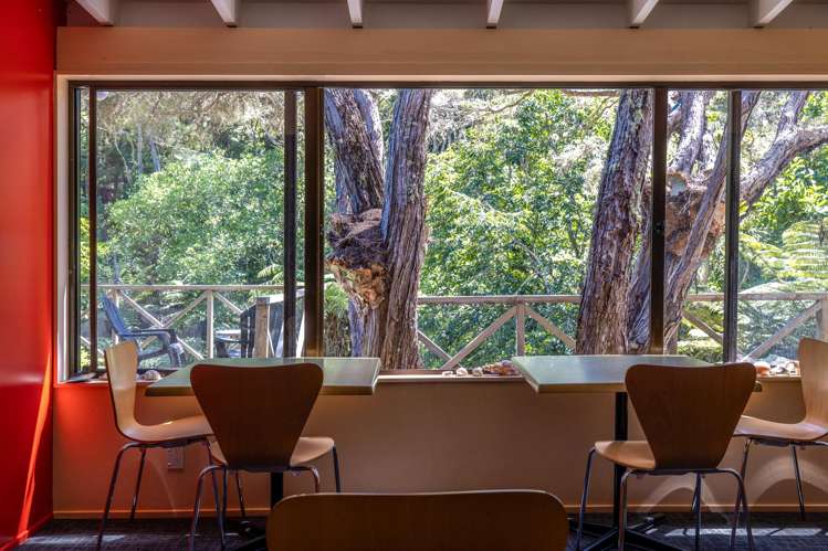 223 Ocean View Road Oneroa_5