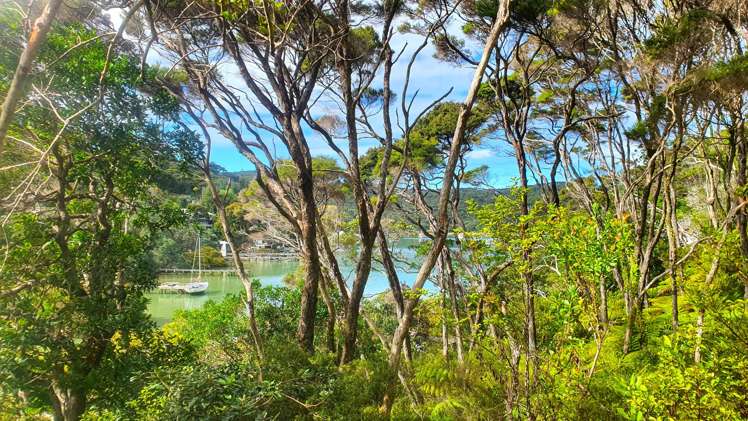 Lot 4 DP66008 North Cove Kawau Island_5