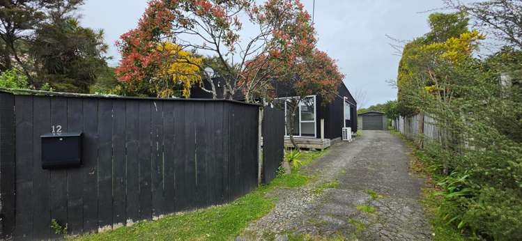  12 Rimutaka Street_0