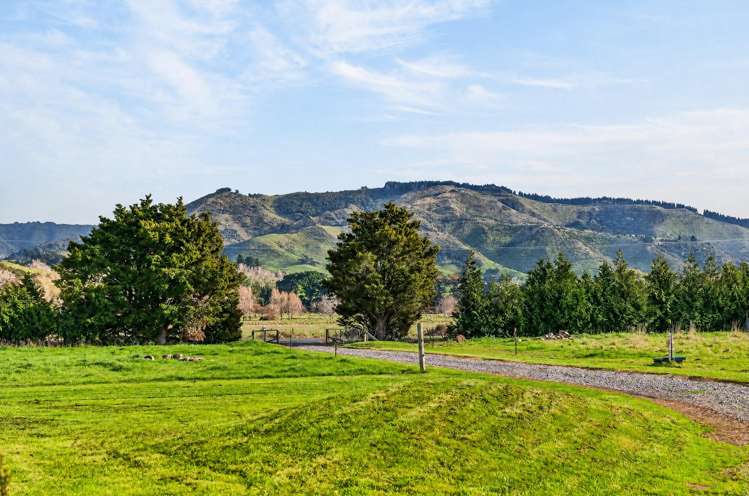 440 Haringa Road Carterton_26