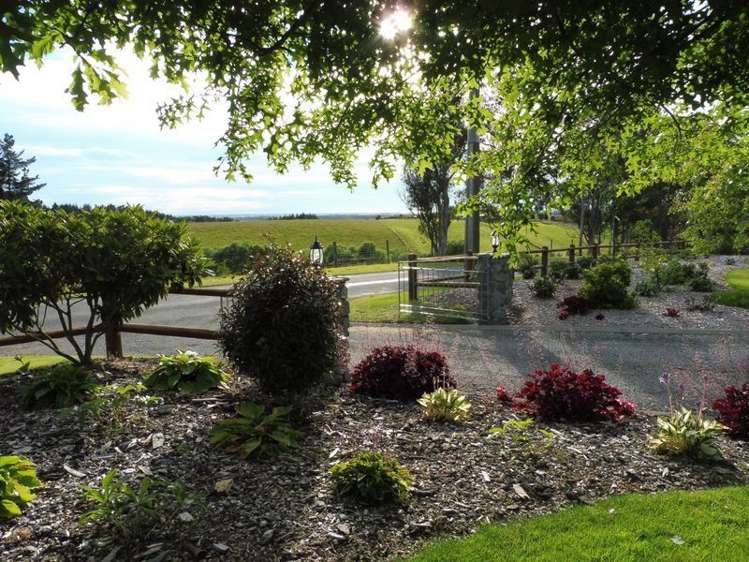 113 Downs Road Geraldine_10