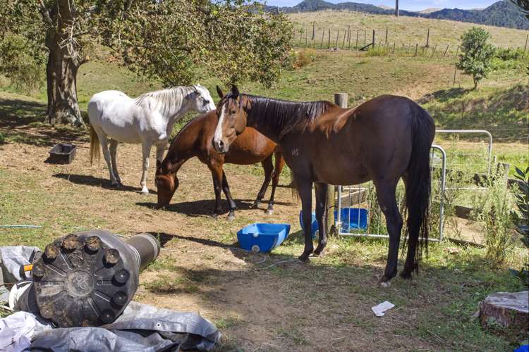 69 Dickey Flat Road Waikino_5