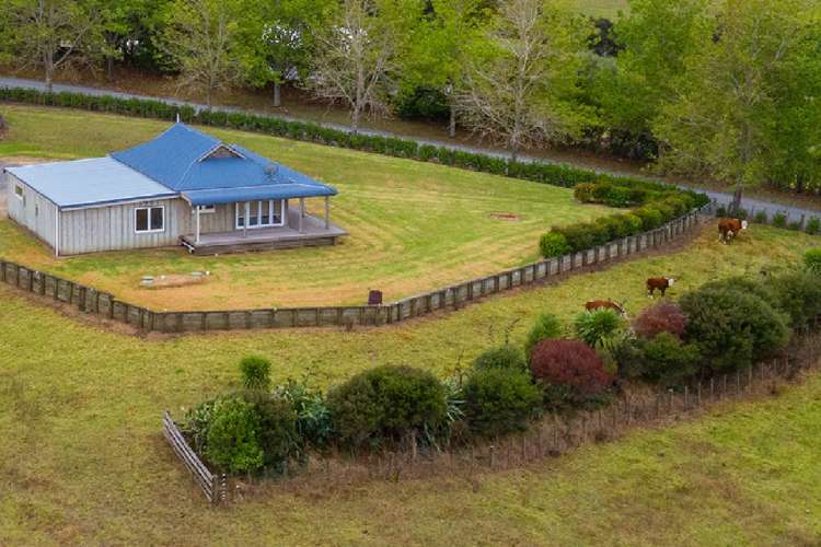 474 Poplar Glade Mangawhai_6