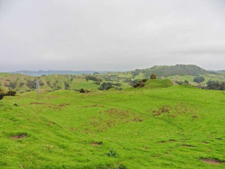 2837 State Highway 4 Aria_38