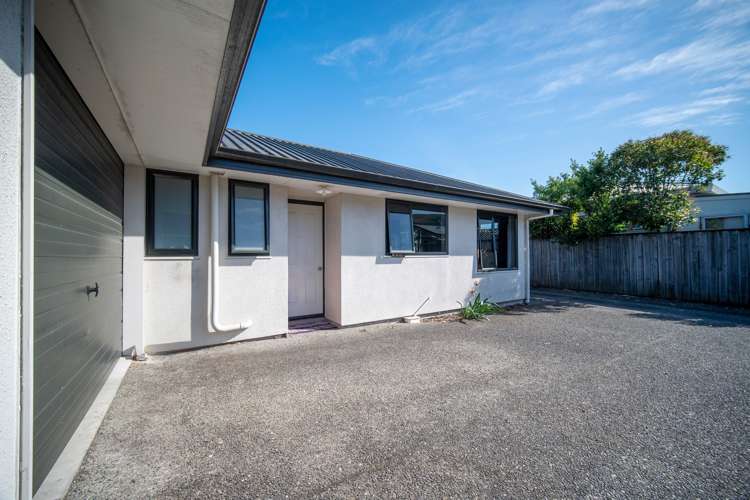 20a Palm Avenue Stoke_1