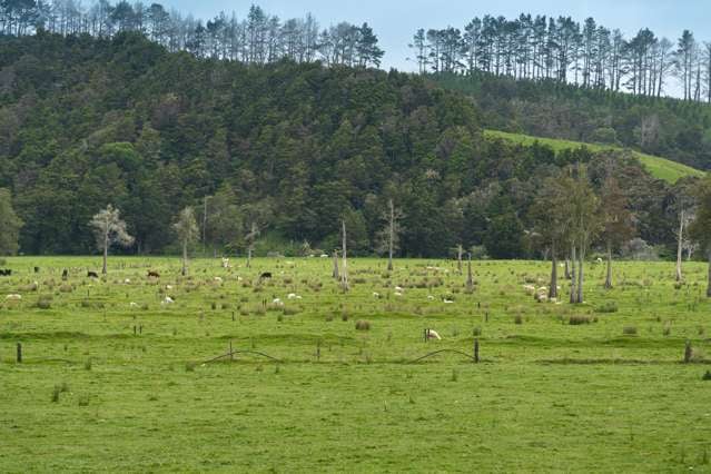 Farm 1 Pukehuia Road Tangiteroria_2