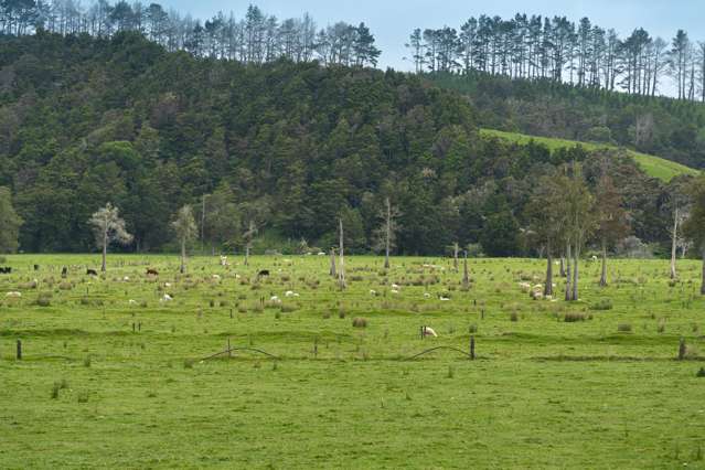 Farm 1 Pukehuia Road Tangiteroria_2