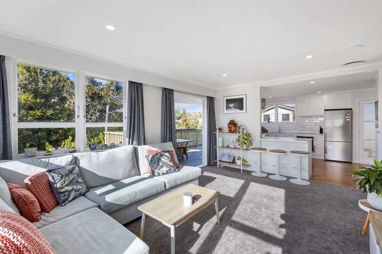 39 Japonica Drive Beach Haven_1