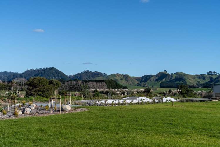 Citrus Avenue Waihi Beach_29