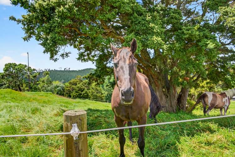 421 Wharehine Road Wellsford_31